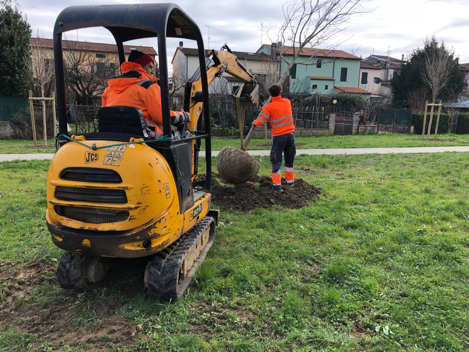 Aree a verde Bonelle 80, in arrivo nuovi alberi e arredi