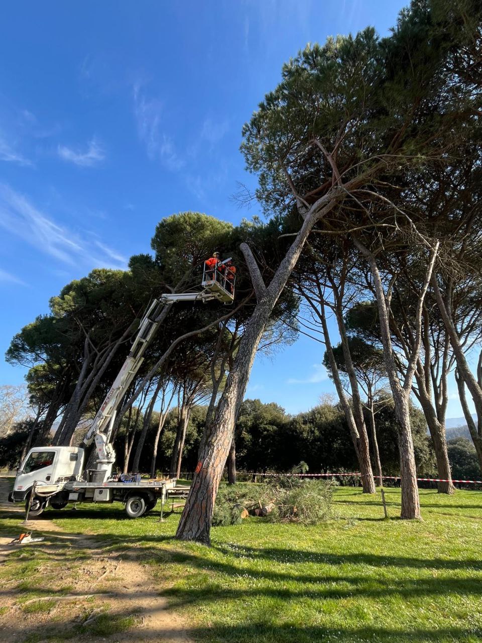 Parco Villone Puccini, completato l’aggiornamento del censimento degli alberi. Partiti stamani gli interventi di riqualificazione e messa in sicurezza