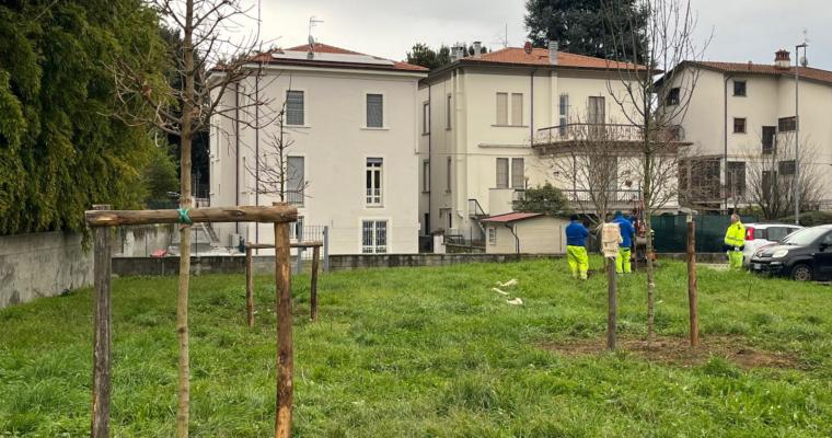 18 nuovi alberi per l’area verde di via del Pelago con il progetto Click to be green