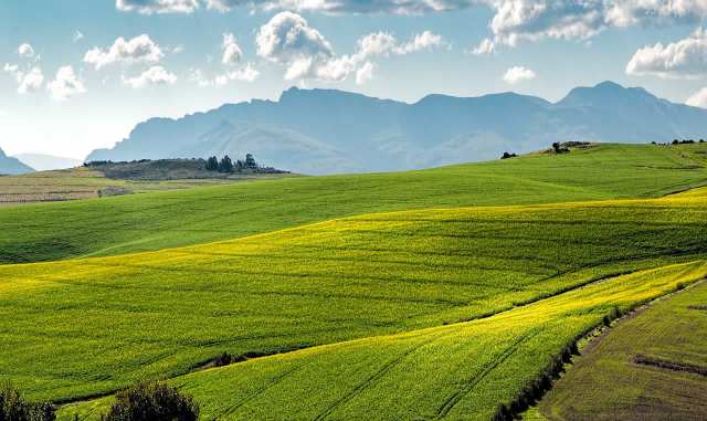 Aggiornamenti relativi all'indagine sulle condizioni dei migranti che lavorano nel settore agro-alimentare